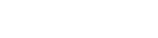 logo dvitum